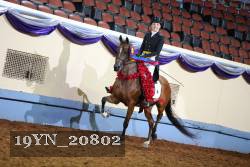 19YN_20802 thumbnail