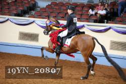19YN_20807 thumbnail