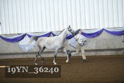 19YN_36240 thumbnail