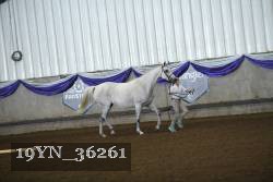 19YN_36261 thumbnail