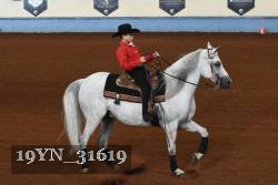 19YN_31619 thumbnail