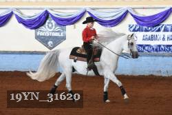 19YN_31620 thumbnail