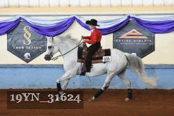 19YN_31624 thumbnail