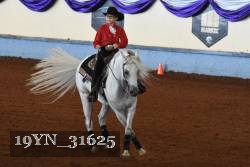 19YN_31625 thumbnail