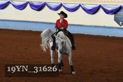 19YN_31626 thumbnail