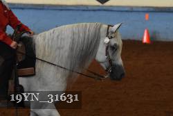 19YN_31631 thumbnail