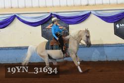 19YN_31634 thumbnail