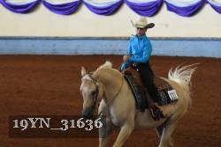 19YN_31636 thumbnail
