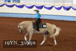 19YN_31640 thumbnail