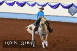 19YN_31641 thumbnail