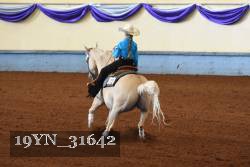 19YN_31642 thumbnail