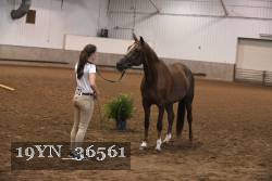 19YN_36561 thumbnail