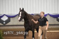 19YN_36639 thumbnail