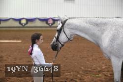 19YN_36648 thumbnail