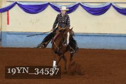 19YN_34557 thumbnail
