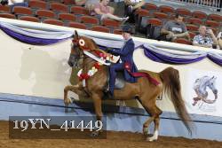 19YN_41449 thumbnail