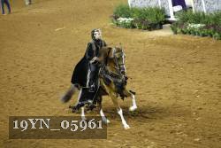 19YN_05961 thumbnail