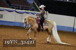 19YN_31421 thumbnail