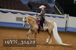 19YN_31422 thumbnail