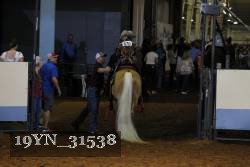 19YN_31538 thumbnail
