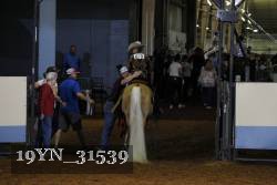 19YN_31539 thumbnail