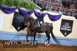 19YN_26032 thumbnail