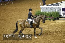 19YN_26033 thumbnail