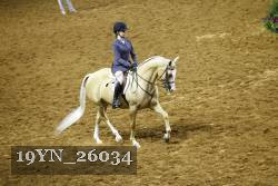 19YN_26034 thumbnail