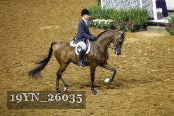 19YN_26035 thumbnail