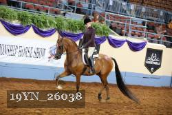 19YN_26038 thumbnail