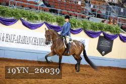 19YN_26039 thumbnail