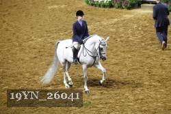 19YN_26041 thumbnail