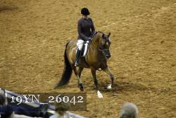 19YN_26042 thumbnail