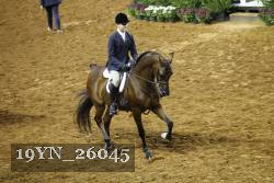 19YN_26045 thumbnail