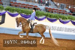 19YN_26046 thumbnail
