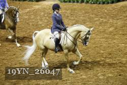 19YN_26047 thumbnail
