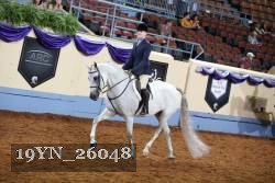 19YN_26048 thumbnail