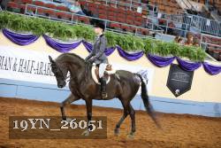 19YN_26051 thumbnail