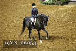 19YN_26053 thumbnail