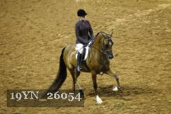 19YN_26054 thumbnail