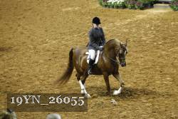 19YN_26055 thumbnail