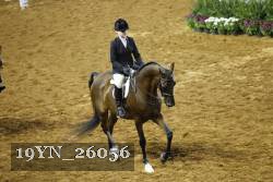 19YN_26056 thumbnail