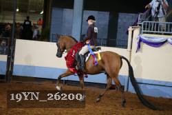 19YN_26200 thumbnail