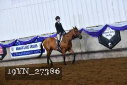 19YN_27386 thumbnail