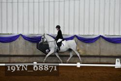 19YN_08871 thumbnail