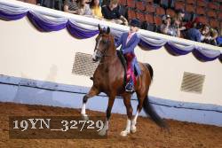 19YN_32729 thumbnail