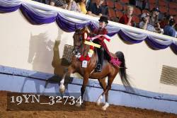 19YN_32734 thumbnail