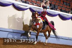 19YN_32735 thumbnail