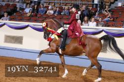 19YN_32741 thumbnail