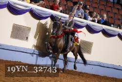 19YN_32743 thumbnail